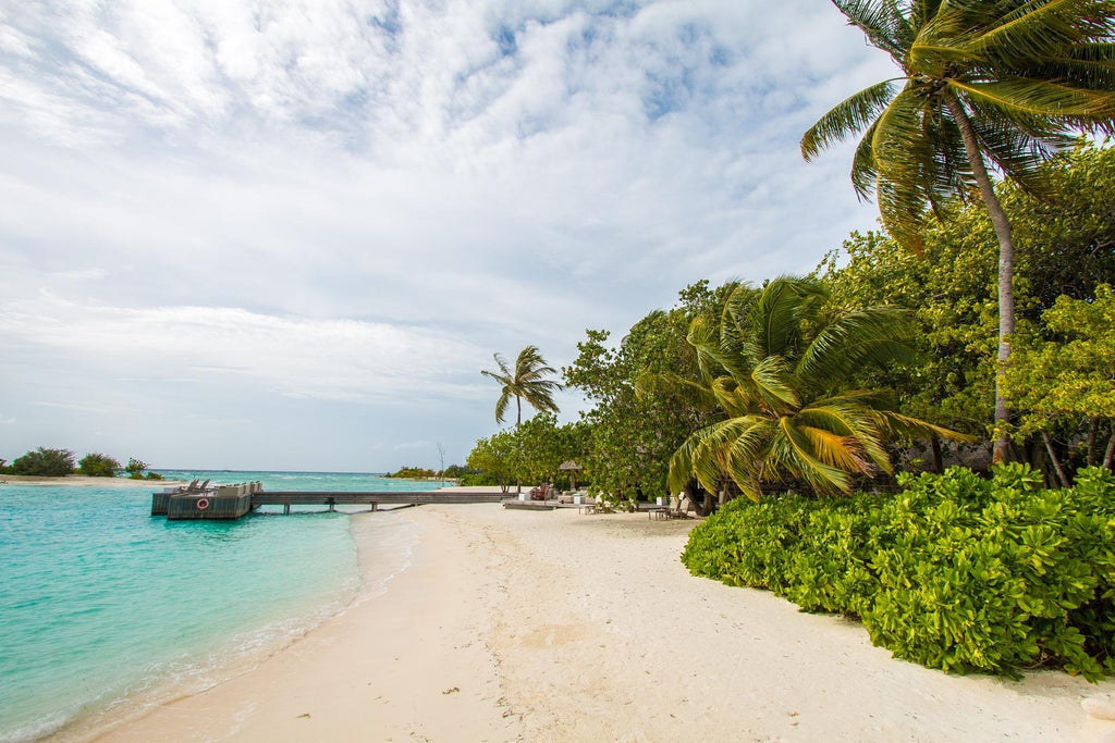 Maldives Tourist Visa