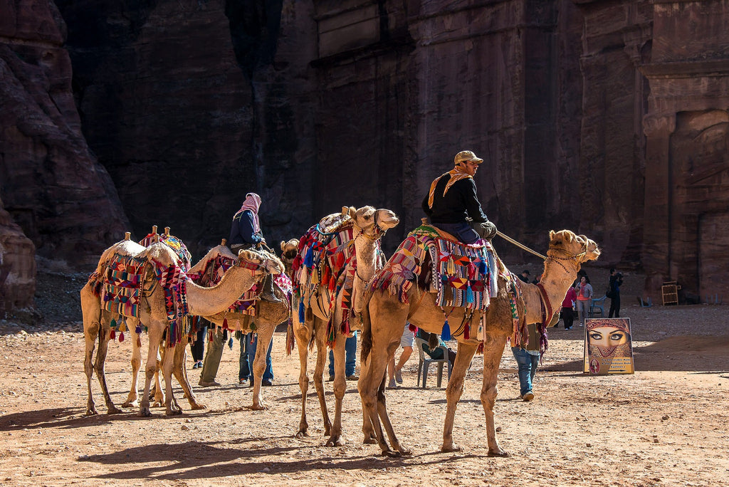 Jordan E-Visa Assistance for UAE Residents